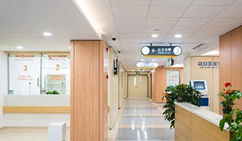 The Difference Between Metal Siding and Solid Wood Siding