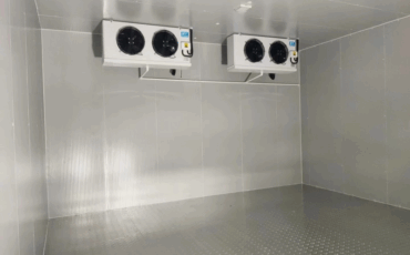 Application of salt-treated boards on walls